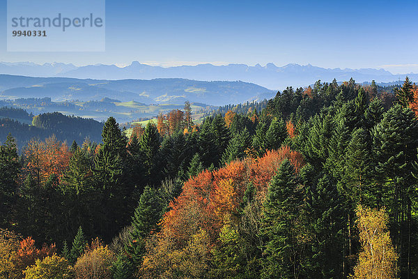 Panorama Farbaufnahme Farbe Europa Berg gelb Holz Alpen Herbst rot Emmentaler Berner Alpen Kanton Bern Mischwald schweizerisch Schweiz Bergpanorama
