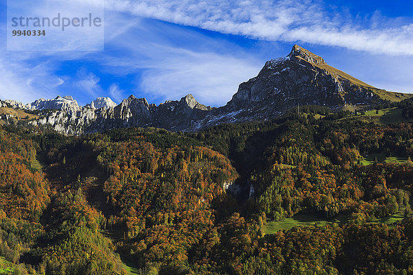 Panorama Farbaufnahme Farbe Europa Berg Berggipfel Gipfel Spitze Spitzen Holz Herbst Sonnenlicht Kanton Glarus Bergmassiv Schweiz