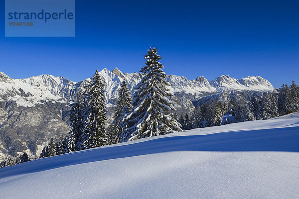 Tanne blauer Himmel wolkenloser Himmel wolkenlos Felsbrocken Panorama Europa Schneedecke Berg Winter Baum Himmel Steilküste Schnee Wald Landschaftlich schön landschaftlich reizvoll Holz Alpen blau Ansicht Fichte Westalpen Bergmassiv schweizerisch Schweiz Walensee Bergpanorama Schweizer Alpen