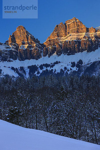 Tanne blauer Himmel wolkenloser Himmel wolkenlos Felsbrocken Panorama Europa Schneedecke Berg Winter Sonnenuntergang Baum Himmel Steilküste Schnee Wald Landschaftlich schön landschaftlich reizvoll Holz Alpen blau Ansicht Fichte Westalpen Bergmassiv schweizerisch Schweiz Bergpanorama Schweizer Alpen