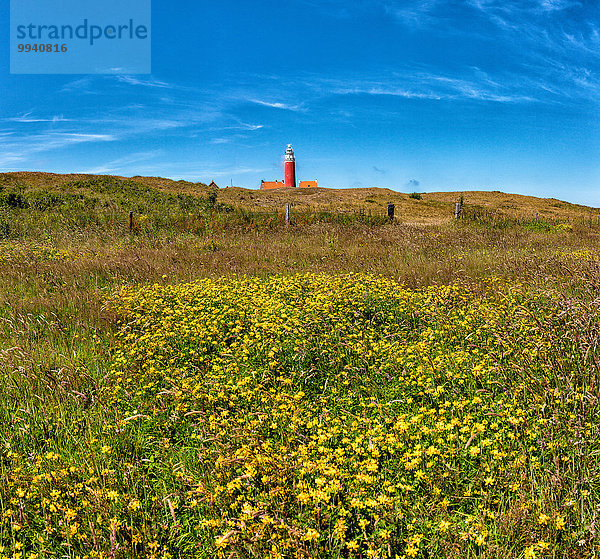 Europa Sommer Landschaft Leuchtturm Niederlande Düne Texel