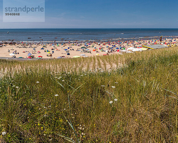 Europa Mensch Menschen Strand Sommer Landschaft Meer Niederlande