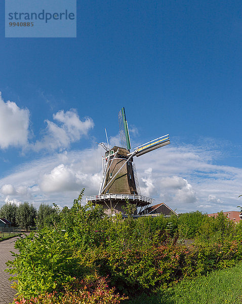 Europa Sommer Niederlande Windmühle Friesland Hoffnung