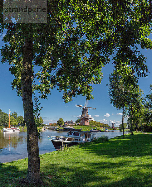Wasser Europa Sommer Baum Boot Schiff Niederlande Windmühle Friesland