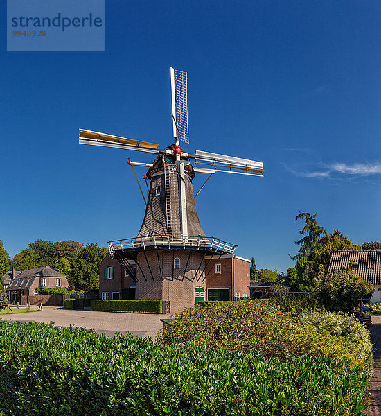 Europa Sommer Dorf Niederlande Windmühle Gelderland