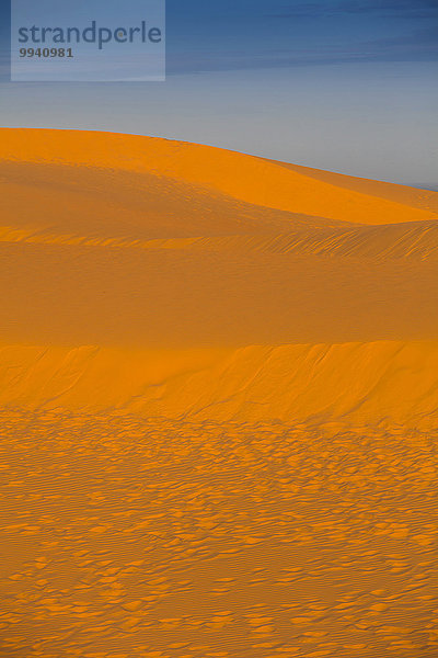 Außenaufnahme Landschaftlich schön landschaftlich reizvoll Wüste Natur Sand Düne rot Asien Südostasien Vietnam