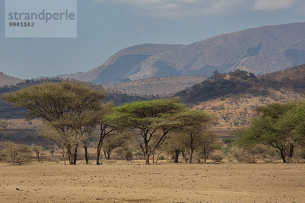 Ostafrika Landschaftlich schön landschaftlich reizvoll Berg Baum Landschaft Reise Afrika Tansania