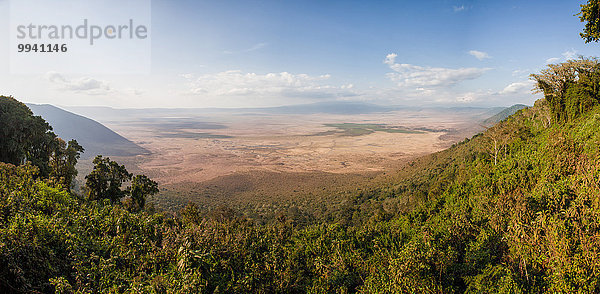 Ostafrika Landschaftlich schön landschaftlich reizvoll Landschaft Reise Naturschutzgebiet Afrika Ngorongoro Crater Tansania