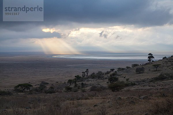 Ostafrika Landschaftlich schön landschaftlich reizvoll Beleuchtung Licht Landschaft Sonnenaufgang Reise See Naturschutzgebiet Afrika Stimmung Ngorongoro Crater Tansania