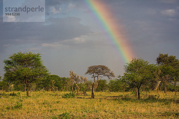 Ostafrika Landschaftlich schön landschaftlich reizvoll Beleuchtung Licht Himmel Landschaft Reise Serengeti Nationalpark Afrika Stimmung Regenbogen Tansania