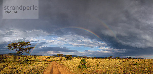 Ostafrika Landschaftlich schön landschaftlich reizvoll Baum Beleuchtung Licht Landschaft Reise Serengeti Nationalpark Afrika Stimmung Regenbogen Tansania
