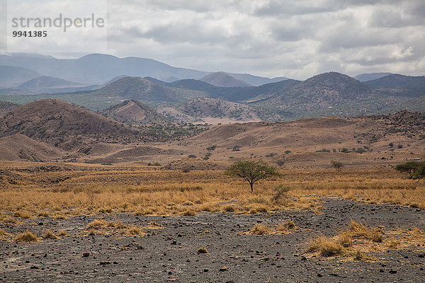 Ostafrika Landschaftlich schön landschaftlich reizvoll Berg Landschaft Reise Lava Rift Valley Kenia Afrika Steppe Tansania