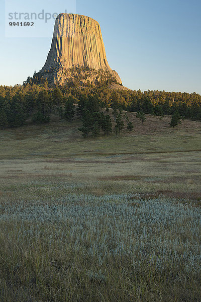 Vereinigte Staaten von Amerika USA Amerika Landschaft Vulkan Wiese Devils Tower Prärie Wyoming