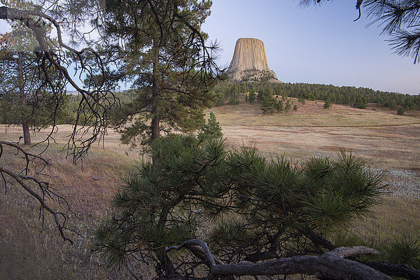 Vereinigte Staaten von Amerika USA Amerika Landschaft Vulkan Wiese Devils Tower Prärie Wyoming