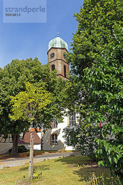 Europa Baum Gebäude Architektur Turm Pflanze Uhr Kirche Schlosskirche Deutschland Rheinland-Pfalz