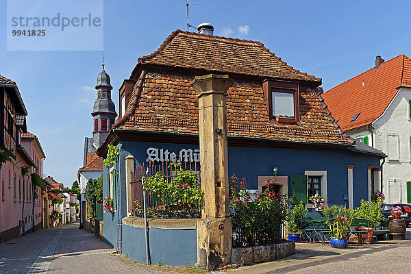Sehenswürdigkeit Europa Blume Wein Baum Gebäude Straße Architektur Turm Restaurant Pflanze Säule Gastronomie Deutschland Tourismus Rheinland-Pfalz