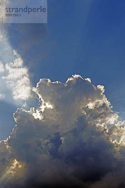 Detail Details Ausschnitt Ausschnitte Europa Wolke schattig Beleuchtung Licht Himmel Natur Schatten Deutschland Neustadt Rheinland-Pfalz