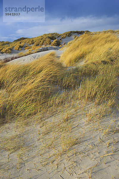 Europa Strand Himmel Küste Meer Natur Sand Insel blau Düne Deutschland Helgoland Nordsee