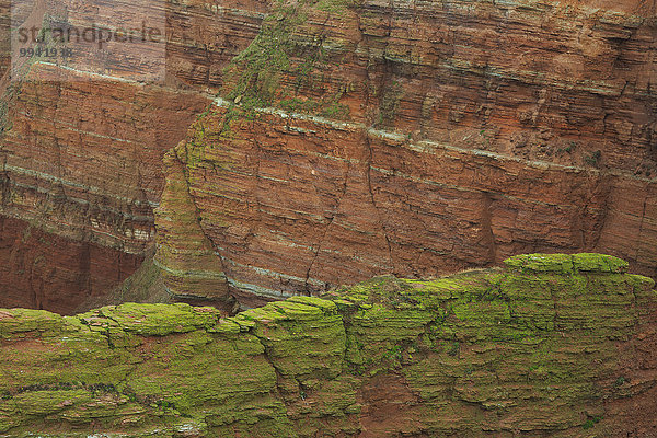 Detail Details Ausschnitt Ausschnitte Europa Konzept Steilküste Küste Meer Natur Abstraktion Insel rot Deutschland Helgoland Nordsee Sandstein