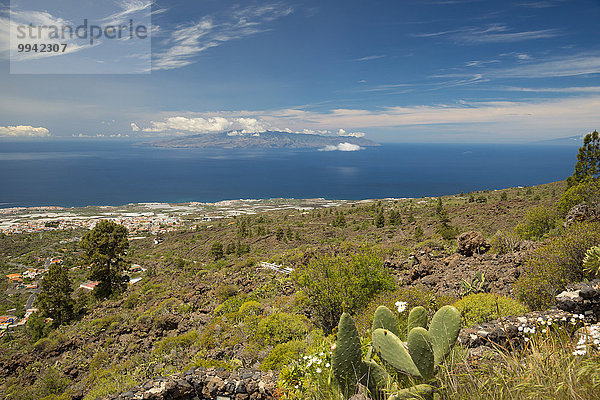 Panorama Europa Kaktus Kanaren Kanarische Inseln Guia de Isora Spanien Teneriffa Westküste