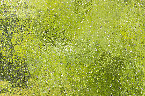 Wasser Fenster nass niemand Bewegung Regen Close-up Regentropfen Wetter Fensterscheibe