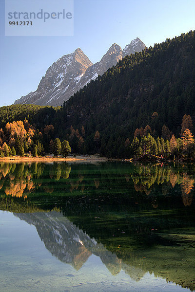 Europa Berg Landschaft Spiegelung See Alpen Herbst Kanton Graubünden Schweiz
