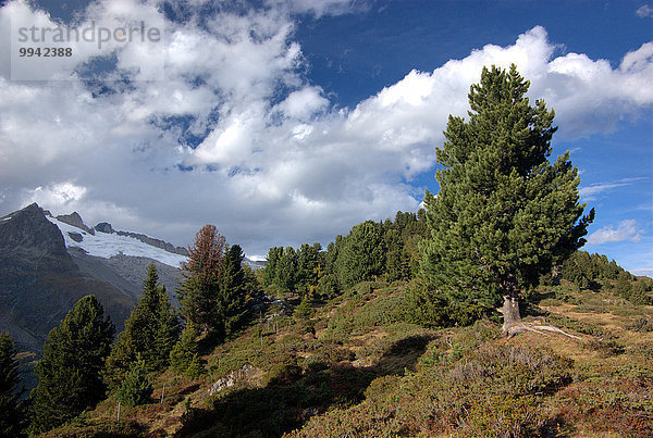 Europa Berg Wolke Landschaft Alpen Herbst Schweiz