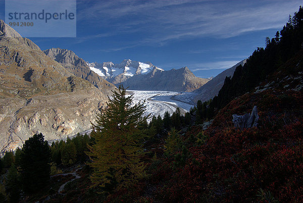 Europa Berg Wolke Landschaft Alpen Herbst Schweiz