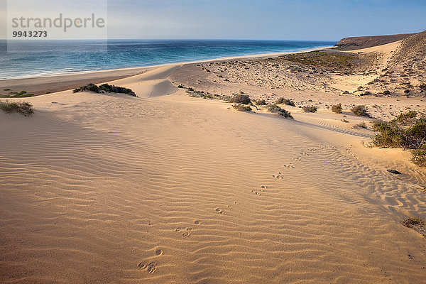 Europa Küste Meer Sand Düne Kanaren Kanarische Inseln Morgendämmerung Fuerteventura Spanien Morgenlicht