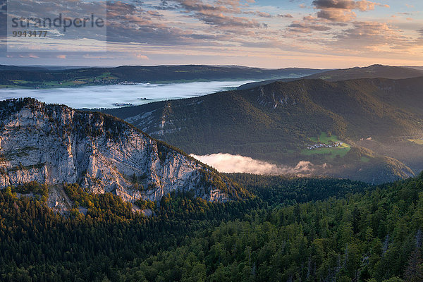 Europa Wald Nebel Holz Ansicht Morgendämmerung Kanton Neuchatel Schweiz Morgenlicht