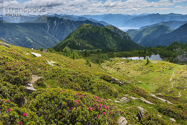 Europa See Ansicht Schweiz