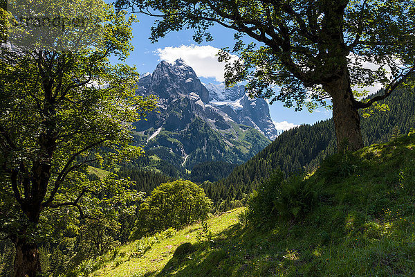 Europa Tal Berner Oberland Kanton Bern Schweiz