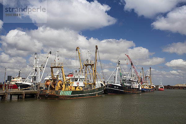 Fischereischiffe im Hafen von Römö  Jütland  Dänemark  Europa