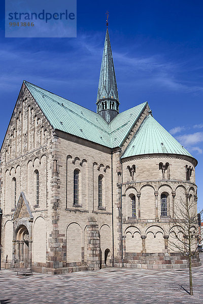 Domkirche  Ribe  Dänemark  Europa