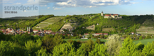 Panorama von Freyburg mit Schloß Neuenburg  Stadtkirche St. Marien und Weinbergen  Freyburg  Burgenlandkreis  Sachsen-Anhalt  Deutschland  Europa