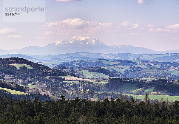 Ausblick von der Aussichtswarte auf dem Hutwisch zum Schneeberg  Bucklige Welt  Industrieviertel  Niederösterreich  Österreich  Europa