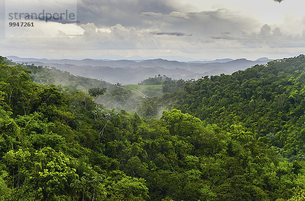 Regenwald  Serra do Funil  Rio Preto  Minas Gerais  Brasilien  Südamerika