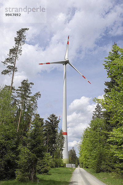 Windkraftwerk im Lindenhardter Forst  Creußen  Oberfranken  Franken  Bayern  Deutschland  Europa