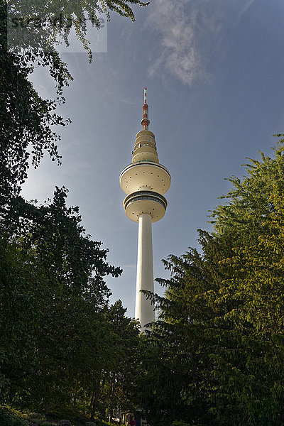 Park Planten un Blomen  Heinrich-Hertz-Turm  Eimsbüttel  Hamburg  Deutschland  Europa