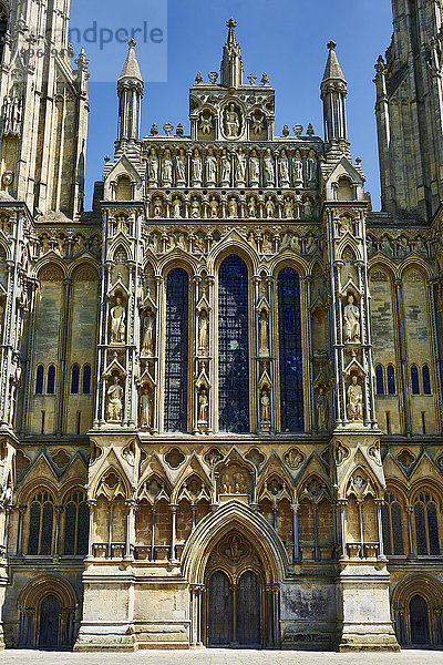 Die Fassade der mittelalterlichen Kathedrale von Wells  1175 im gotischen Early English Style gebaut  Wells  Somerset  England  Großbritannien  Europa