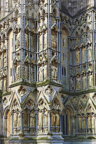 Statuen an der Fassade der mittelalterlichen Kathedrale von Wells  1175 im gotischen Early English Style gebaut  Wells  Somerset  England  Großbritannien  Europa