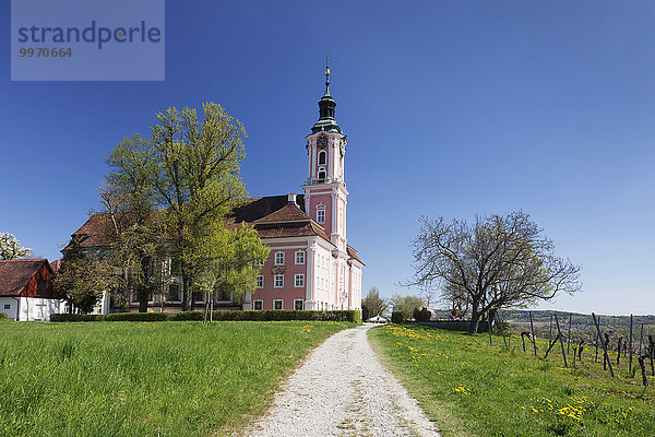 Wallfahrtskirche und Kloster Birnau  Unteruhldingen  Bodensee  Baden-Württemberg  Deutschland  Europa