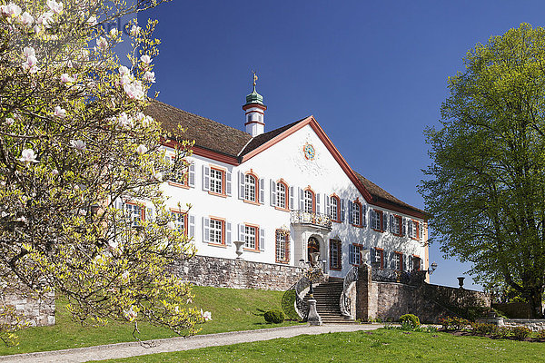 Schloss Bürgeln  bei Obereggen  Schliengen  Markgräfler Land  Schwarzwald  Baden-Württemberg  Deutschland  Europa