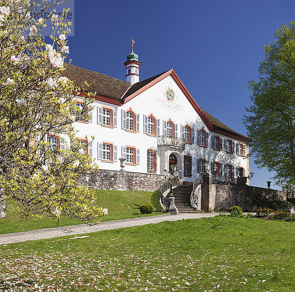 Schloss Bürgeln  bei Obereggen  Schliengen  Markgräfler Land  Schwarzwald  Baden-Württemberg  Deutschland  Europa