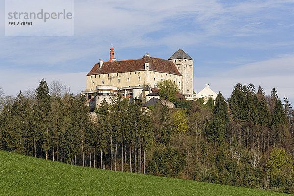 Schlosshotel Krumbach  Bucklige Welt  bei Krumbach  Industrieviertel  Niederösterreich  Österreich  Europa