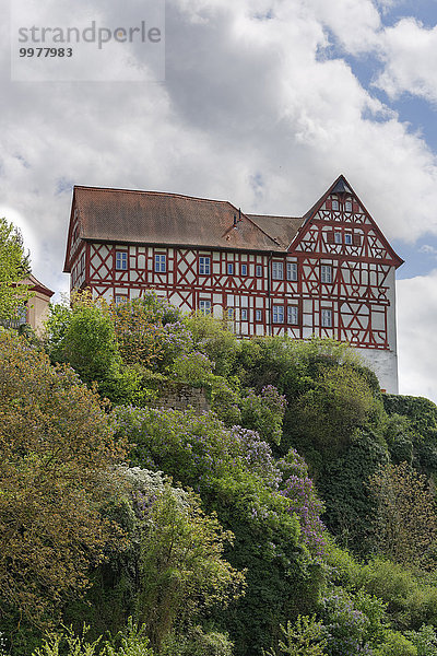 Schloss Homburg  Triefenstein  Spessart  Mainfranken  Unterfranken  Franken  Bayern  Deutschland  Europa