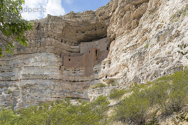 Indianische Felsenbehausung Montezuma Castle  Montezuma Castle National Monument  Arizona  USA  Nordamerika