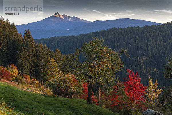 Herbstlandschaft  Weisshorn  Dolomiten  Südtirol  Italien  Europa
