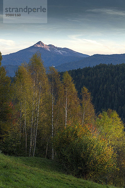 Herbstlandschaft  Weisshorn  Dolomiten  Südtirol  Italien  Europa