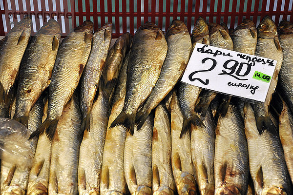 Fischmarkt Riga Hauptstadt Lettland